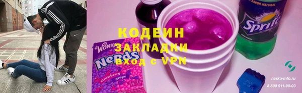 шишки Абаза