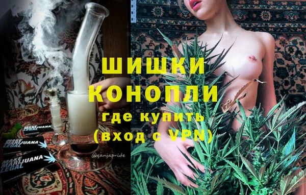 шишки Абаза