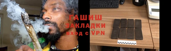 шишки Абаза