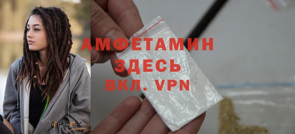 шишки Абаза