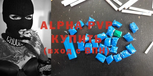 шишки Абаза