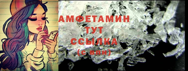 шишки Абаза