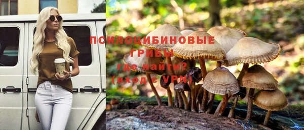 шишки Абаза