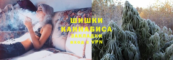 шишки Абаза