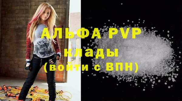 шишки Абаза