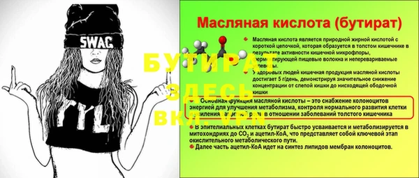 шишки Абаза