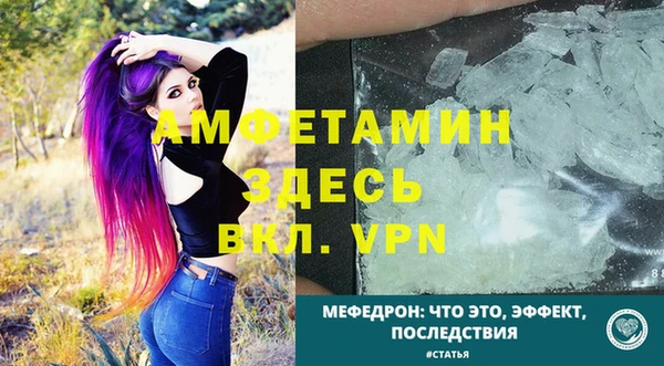 шишки Абаза