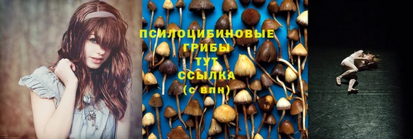 МДПВ Абдулино